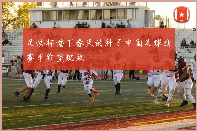 足协杯播下春天的种子中国足球新赛季希望绽放